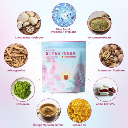 Mushroom body supplement