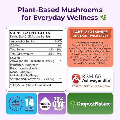 Mushroom Dietary Supplement