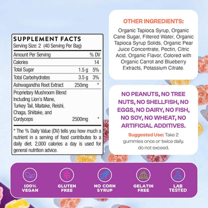 Mushroom Gummies Supplement