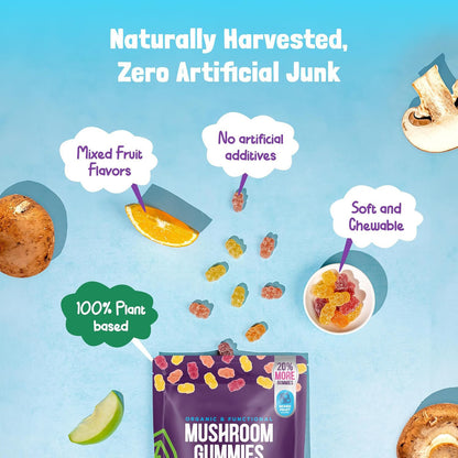 Mushroom Supplement Gummies