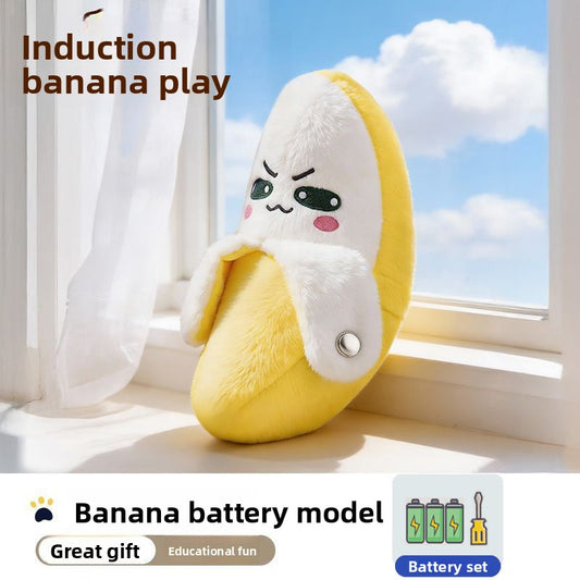 Musical Plush Toy