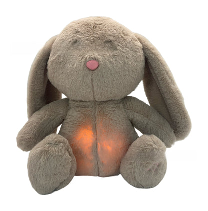 Musical Plush Toy