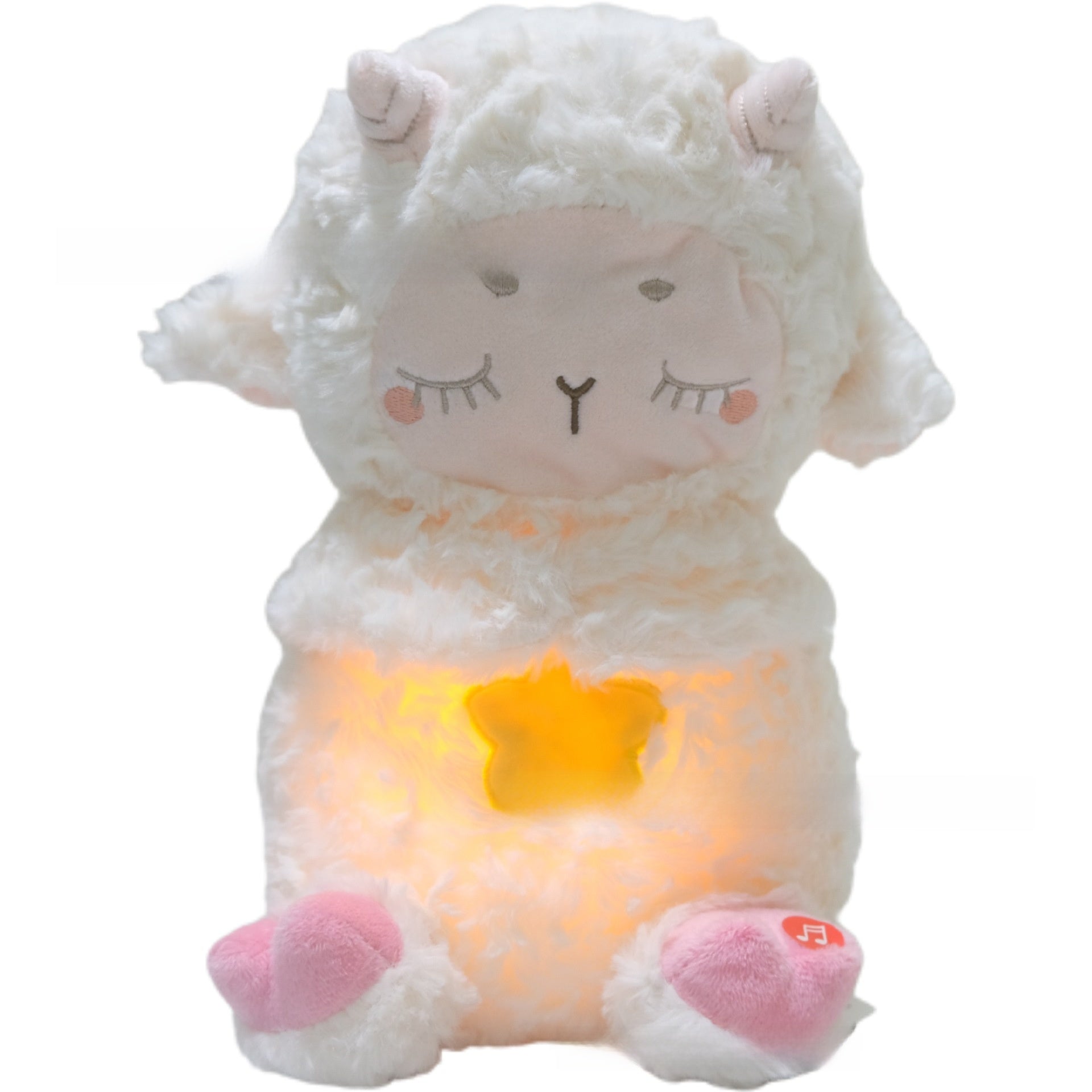 Musical Plush Toy