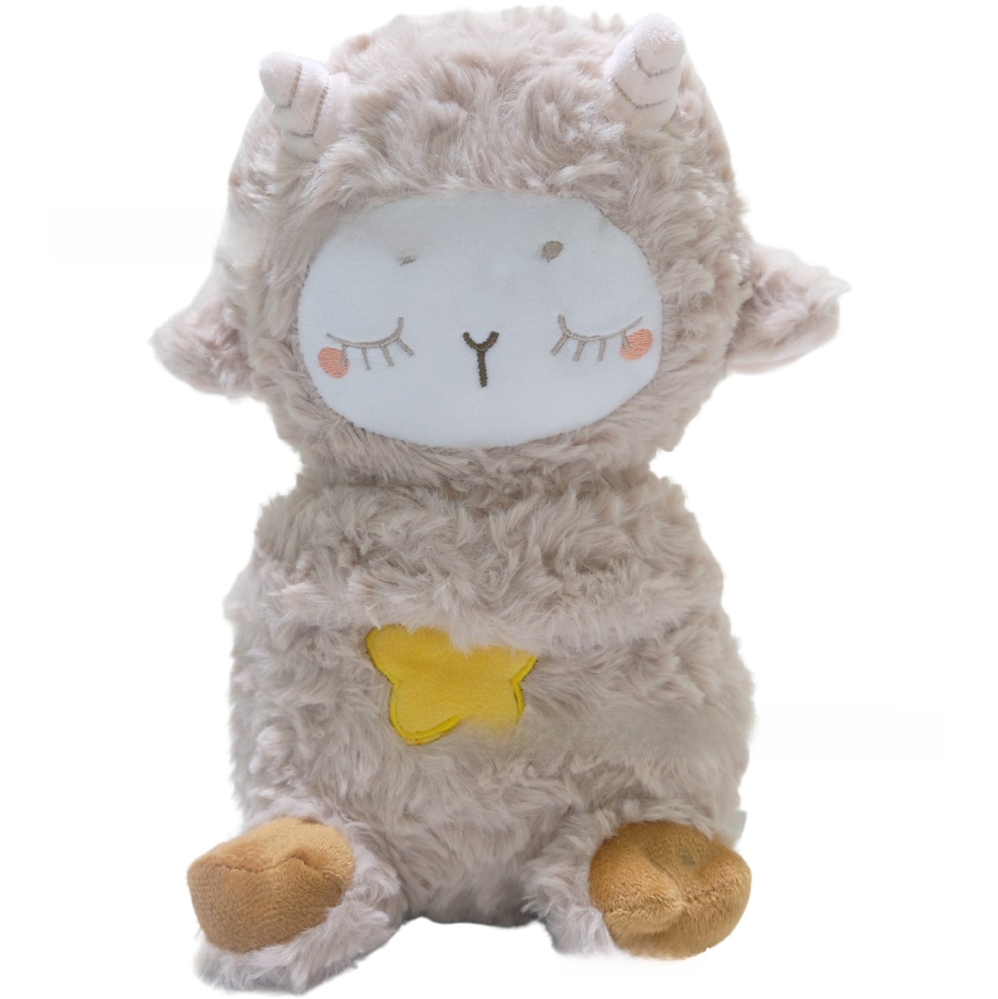 Musical Plush Toy