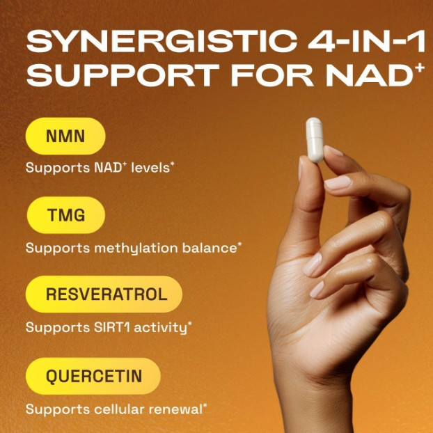 NAD+ supplement complex