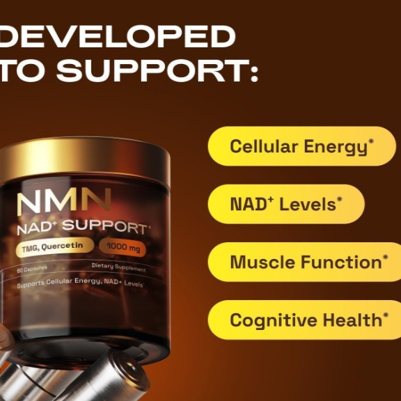 NAD+ supplementation complex