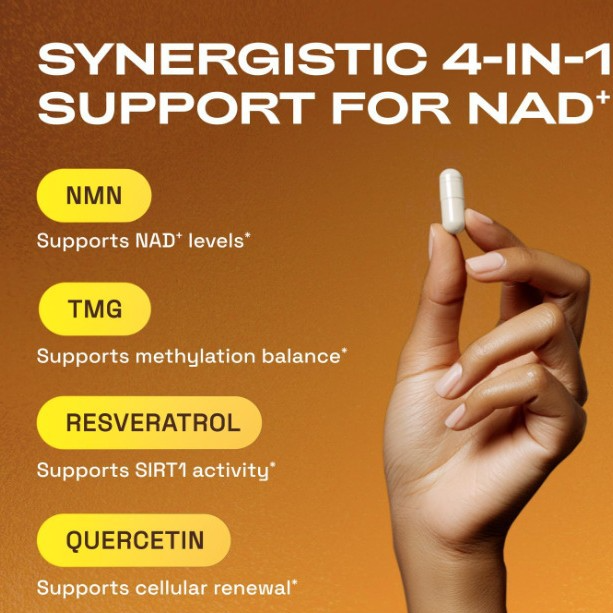 NAD+ supplementation complex