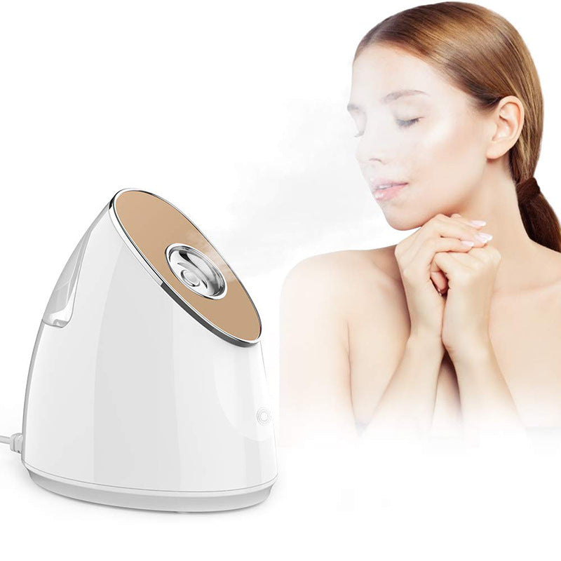 Nano Moisturizing Facial Steamer