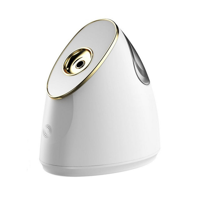 Nano Moisturizing Facial Steamer