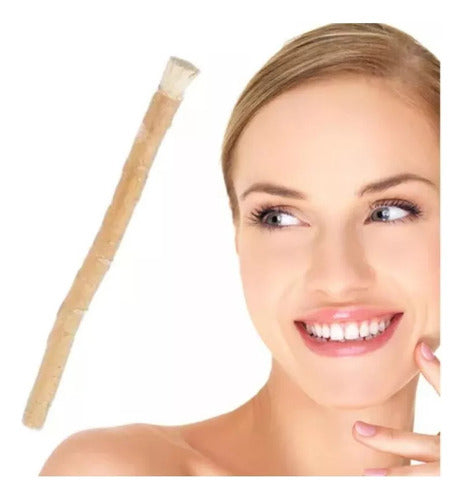 Natural Miswak Toothbrush Stick