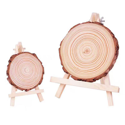 Natural Pine Wood Slices for DIY and Wall Decoration