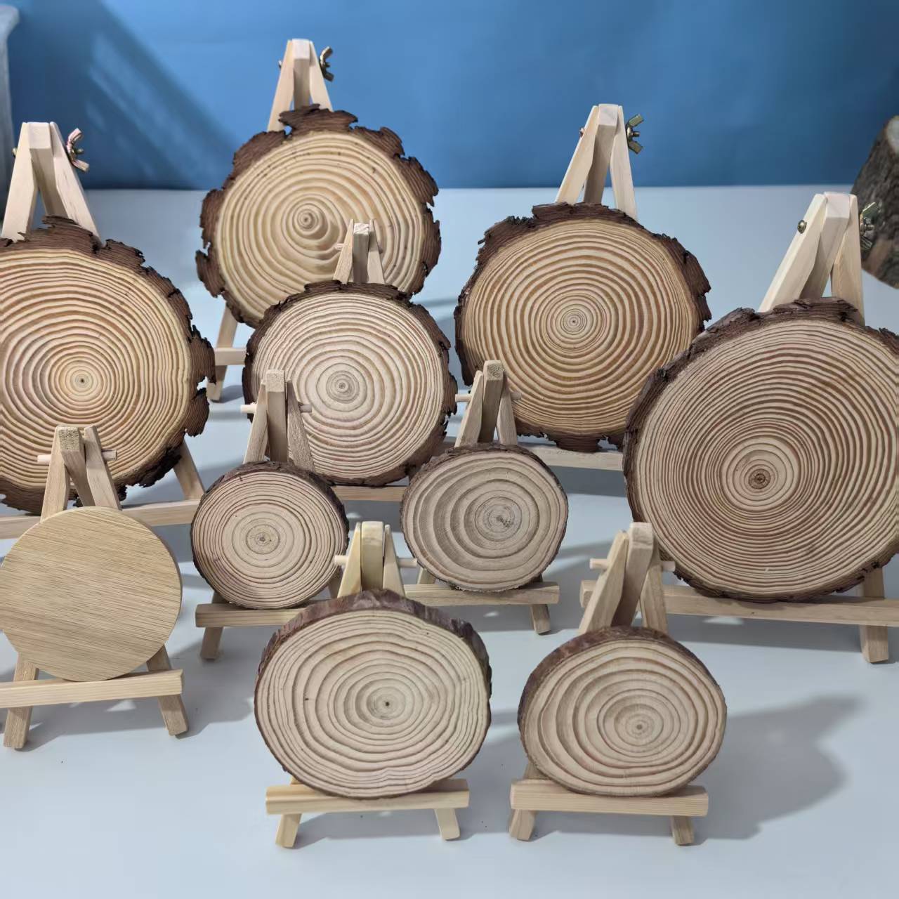 Natural Pine Wood Slices for DIY and Wall Decoration
