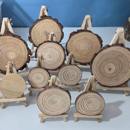 Natural Pine Wood Slices for DIY and Wall Decoration