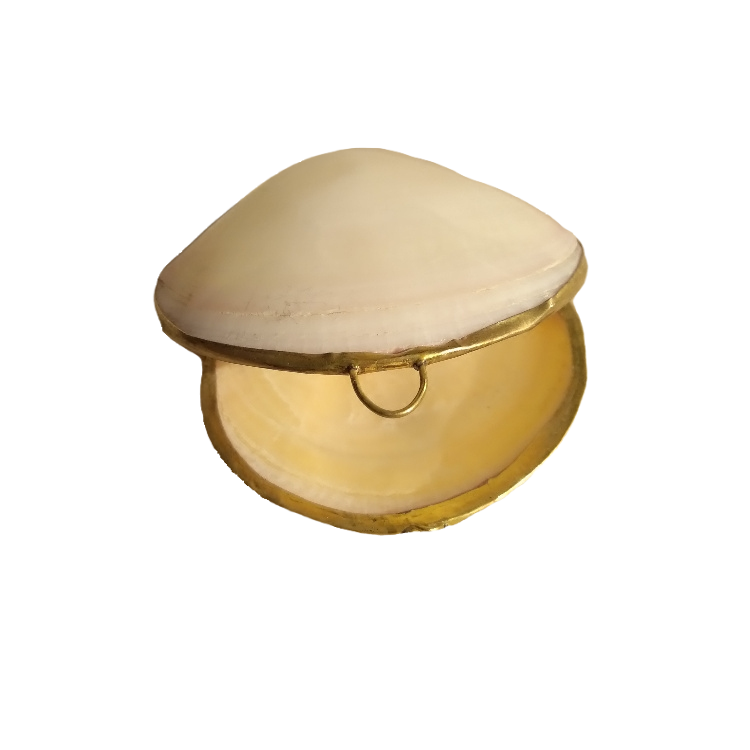 Natural Shell Embedded Ring Box