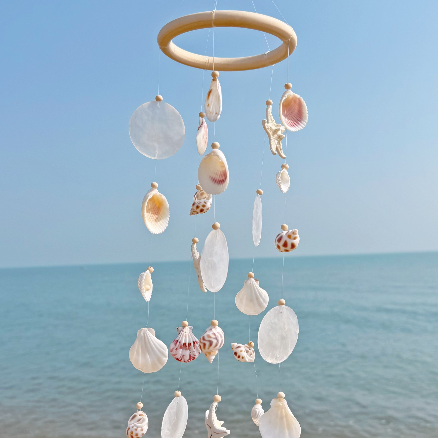 Natural Shell Wind Chime Hanging Decoration