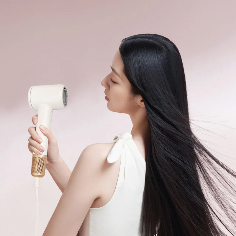 Negative Ion Hair Dryer with Constant Temperature