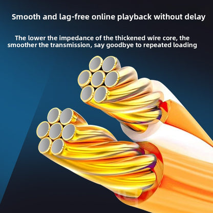 network cable