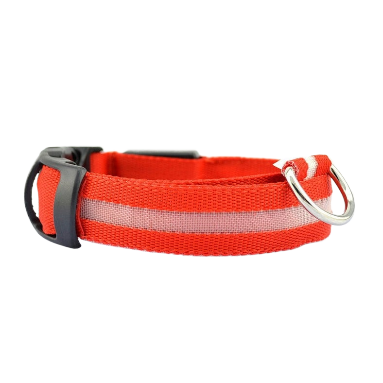 New LED Dog Collar - USB Rechargeable Glowing Pet Collar for Small & Large Dogs, Anti-Lost Safety Necklace