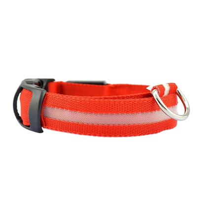 New LED Dog Collar - USB Rechargeable Glowing Pet Collar for Small & Large Dogs, Anti-Lost Safety Necklace