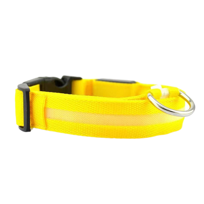 New LED Dog Collar - USB Rechargeable Glowing Pet Collar for Small & Large Dogs, Anti-Lost Safety Necklace