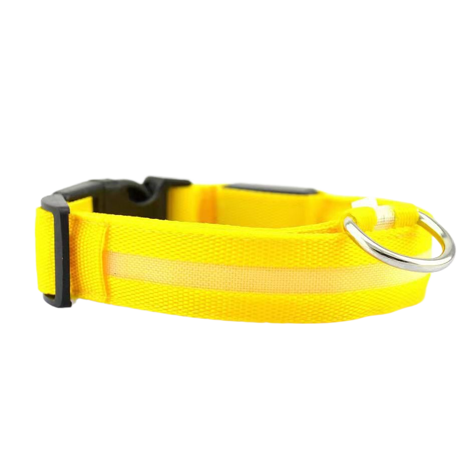 New LED Dog Collar - USB Rechargeable Glowing Pet Collar for Small & Large Dogs, Anti-Lost Safety Necklace