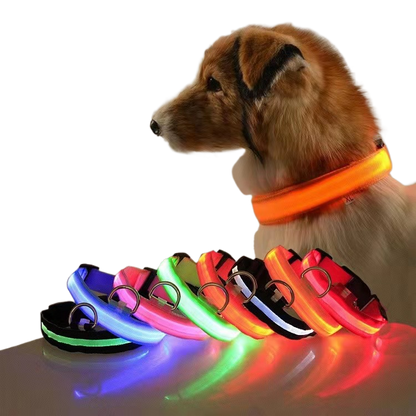 New LED Dog Collar - USB Rechargeable Glowing Pet Collar for Small & Large Dogs, Anti-Lost Safety Necklace