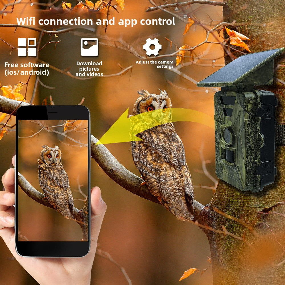 New Solar Infrared Camera