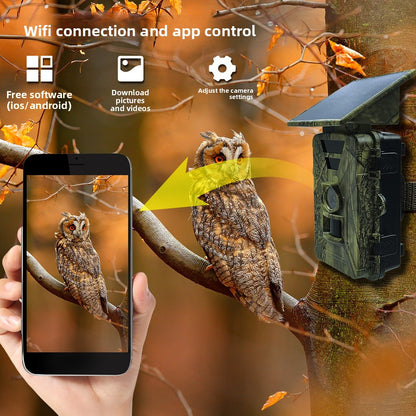 New Solar Infrared Camera