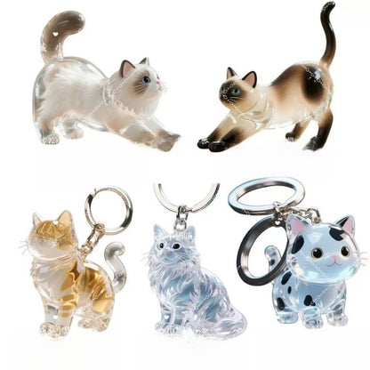 New Transparent Cat Hair Storage Box Cross-Border Decorative Capsule Bag Keychain Pendant Commemorative