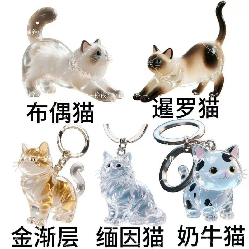 New Transparent Cat Hair Storage Box Cross-Border Decorative Capsule Bag Keychain Pendant Commemorative