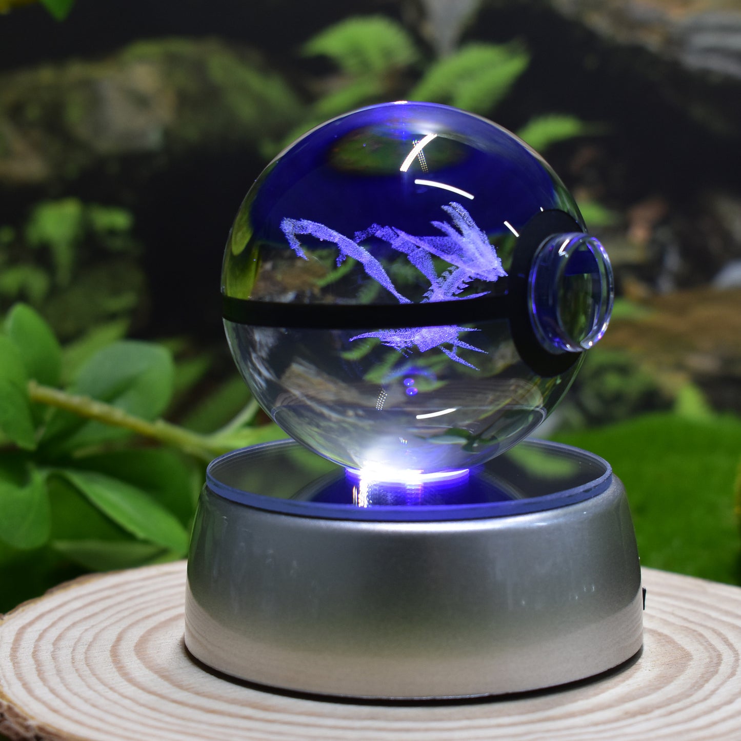 Night Light Decoration