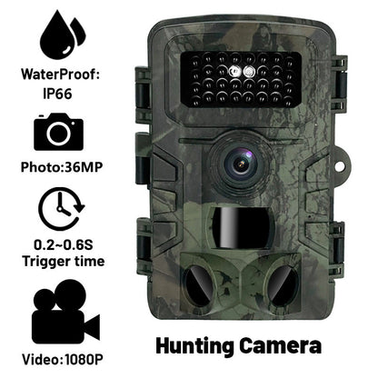 Nighttime surveillance camera