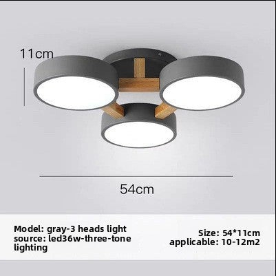 Nordic Modern LED Ceiling Lamp
