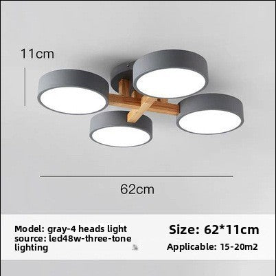 Nordic Modern LED Ceiling Lamp
