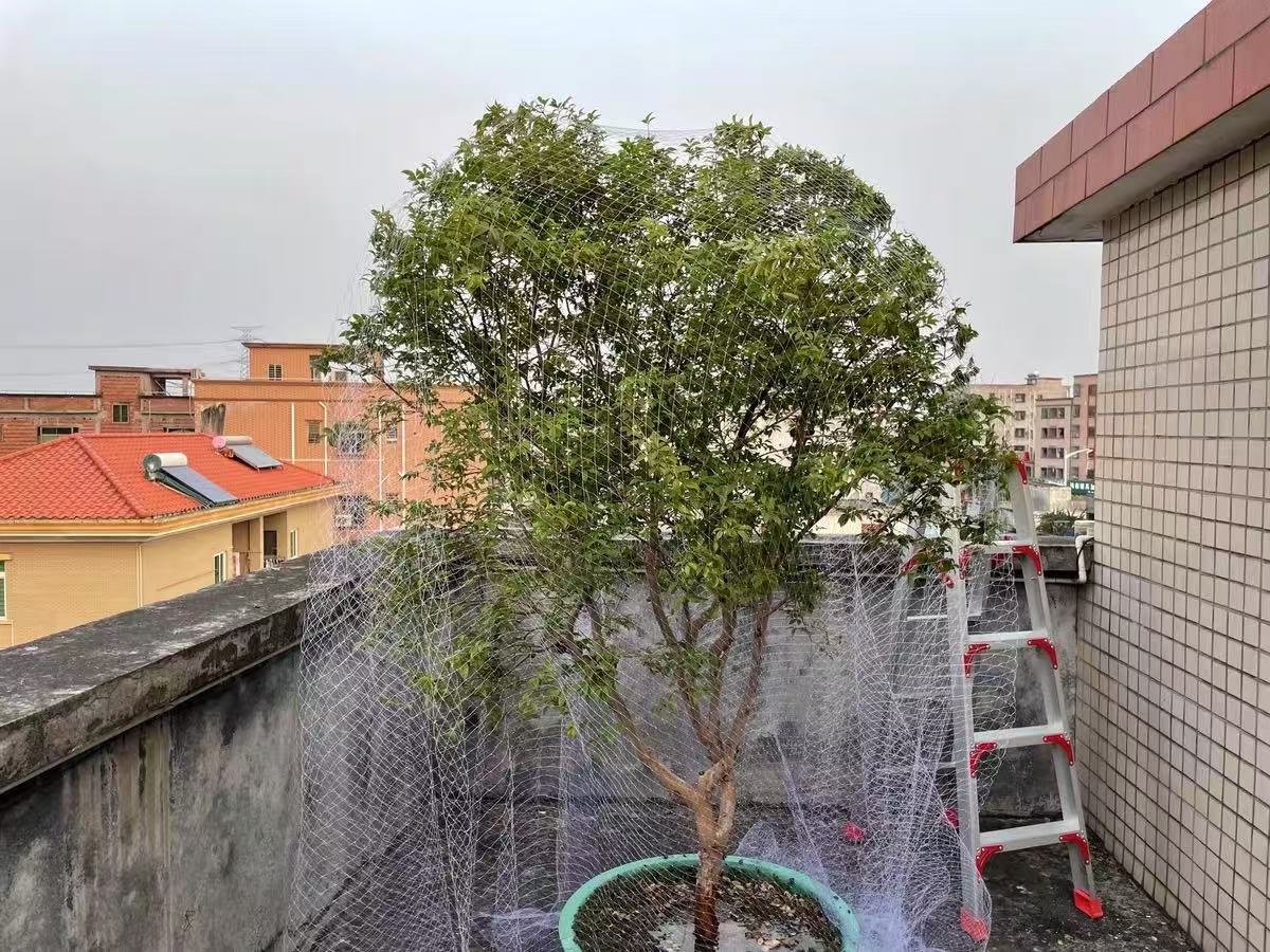Nylon Anti Bird Net for Fruit Tree Protection