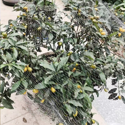 Nylon Anti Bird Net for Fruit Tree Protection
