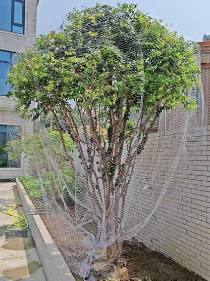 Nylon Anti Bird Net for Fruit Tree Protection