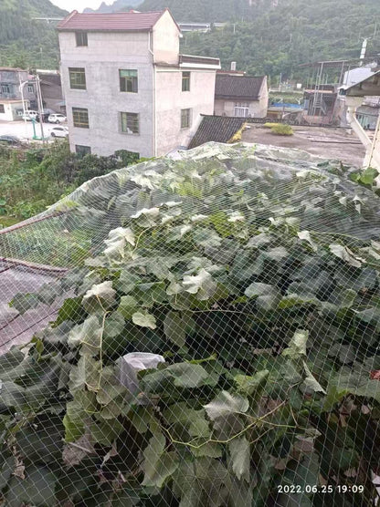 Nylon Anti Bird Net for Fruit Tree Protection