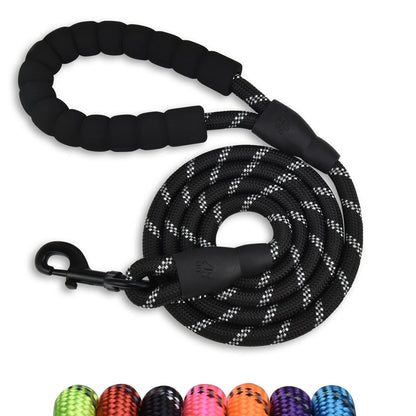 Nylon Dog Walking Leash