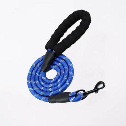 Nylon Dog Walking Leash