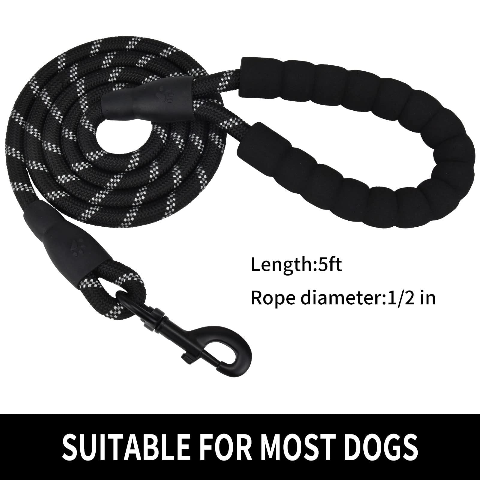 Nylon Dog Walking Leash