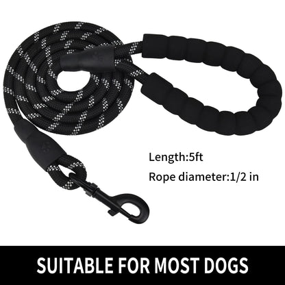 Nylon Dog Walking Leash