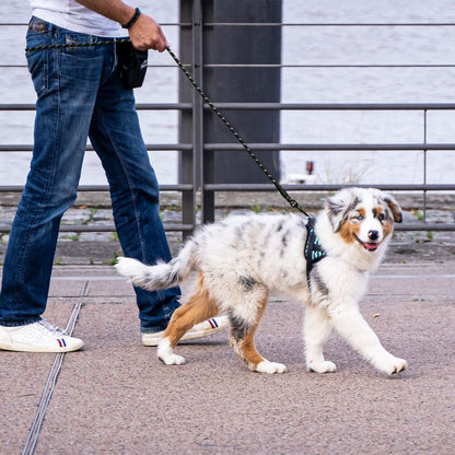 Nylon Dog Walking Leash