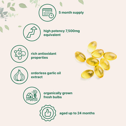 Odorless Garlic Soft Capsules with Vitamin C