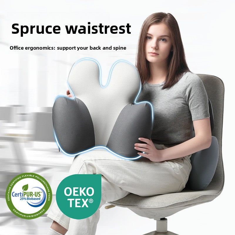 Office Back Lumbar