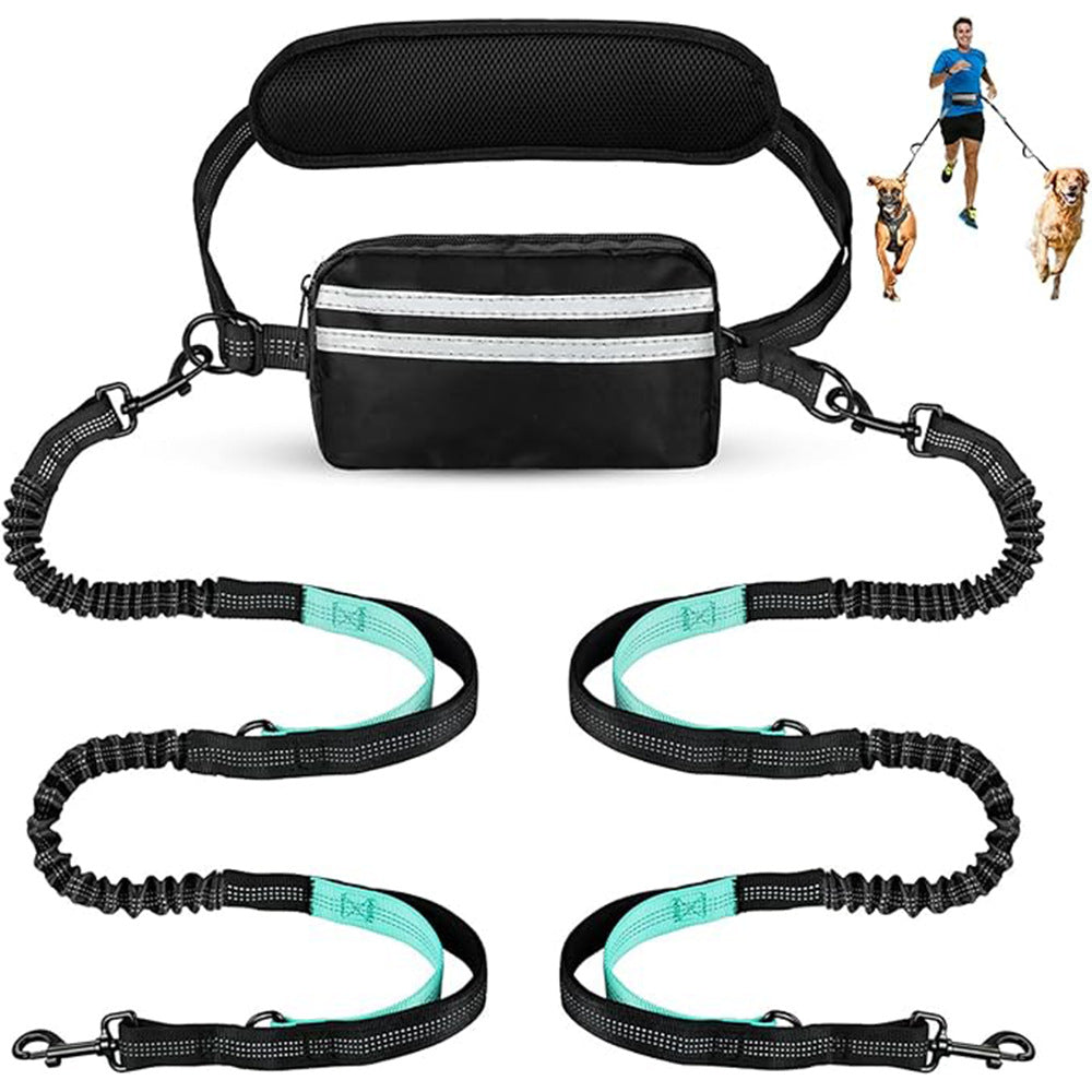 One-to-two leash