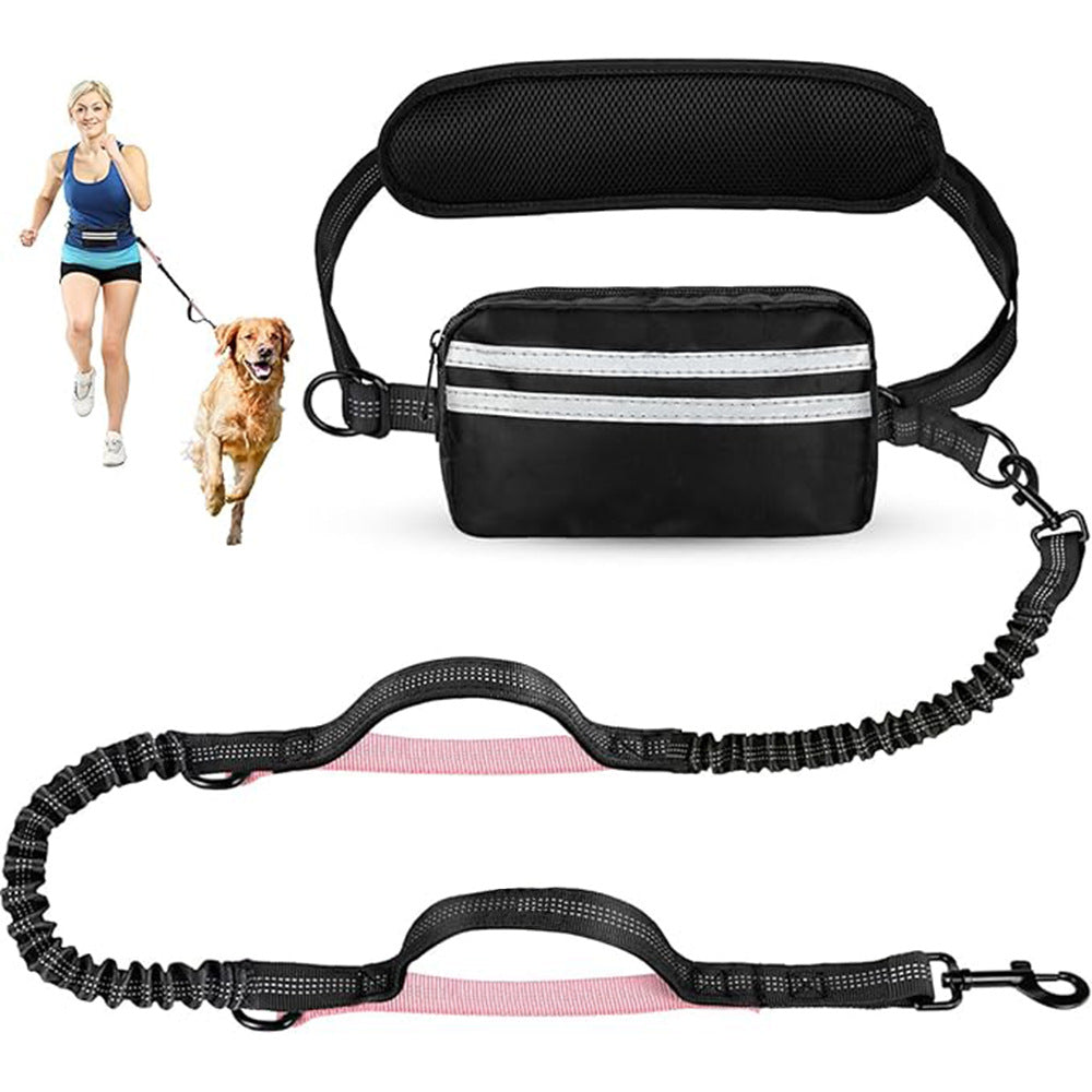One-to-two leash