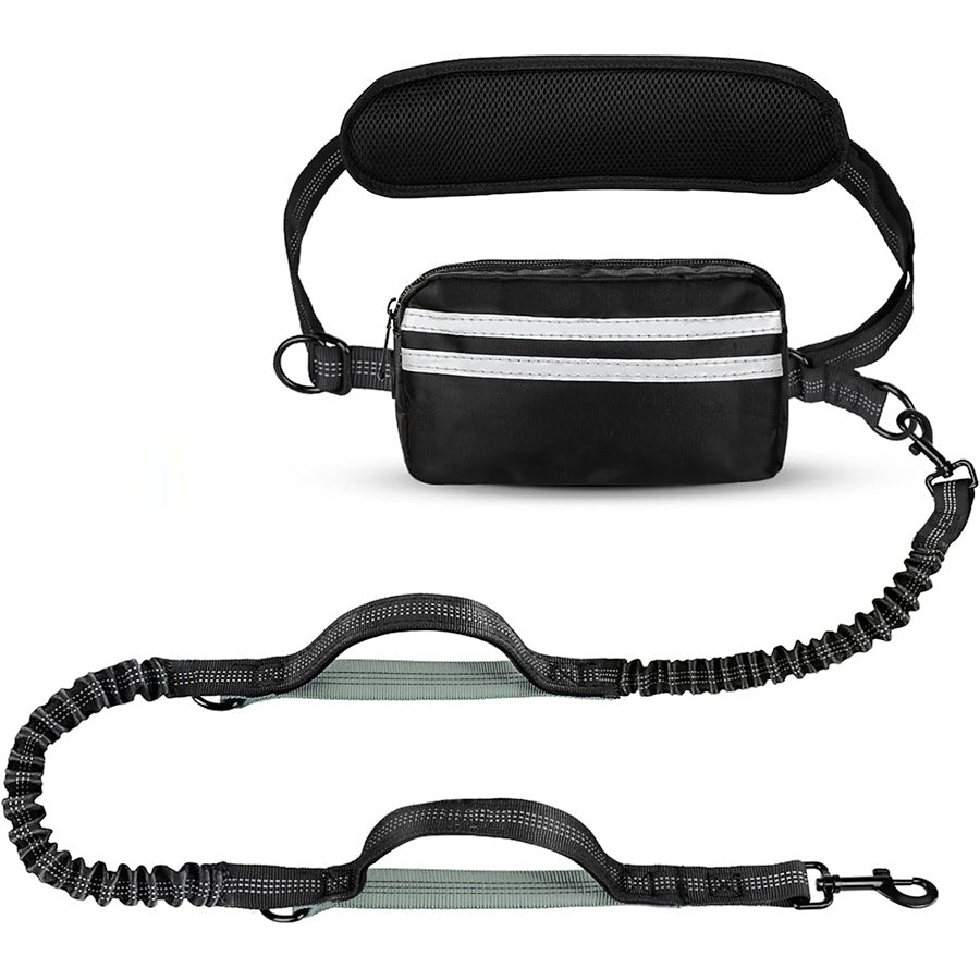 One-to-two leash