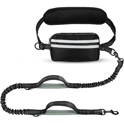 One-to-two leash