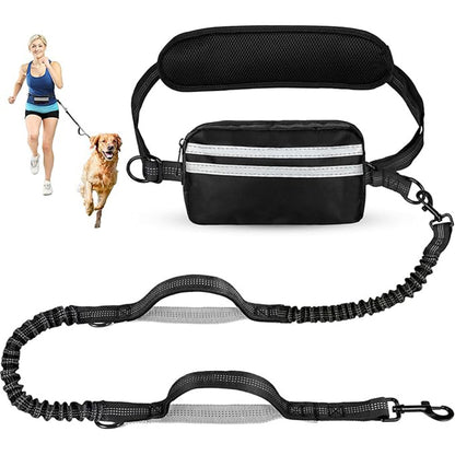 One-to-two leash